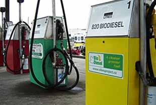 Нефтетрейдеры нашли новый способ беспошлинного ввоза топлива - нефтепродукт