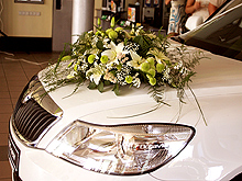 Старт продаж новой Skoda Octavia A5 отмечен ажиотажным спросом - Skoda