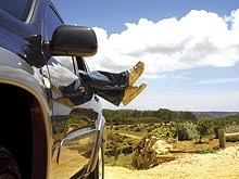 Для владельцев Toyota стартует акция «Дорога в лето» - Toyota