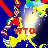Как авторынок отреагировал на ВТО. Итоги мая - авторынок